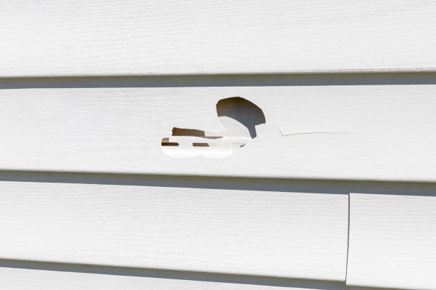 Best Residential Vinyl Siding Installation  in Finderne, NJ