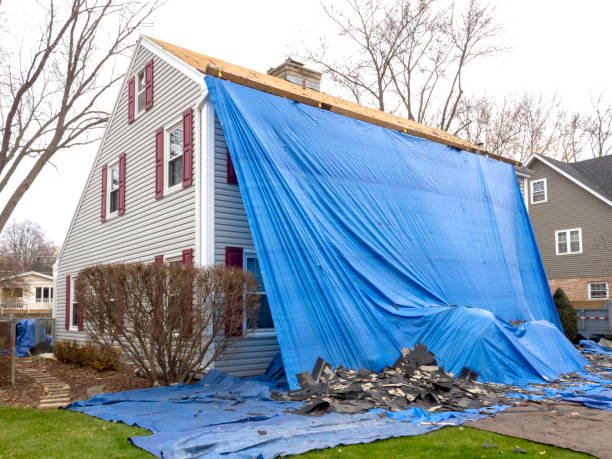 Best Siding Painting and Refinishing  in Finderne, NJ