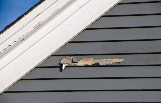 Best Siding Repair  in Finderne, NJ
